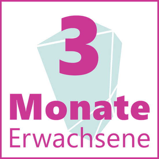 Bild von 3-Monats-Abo Erwachsene
