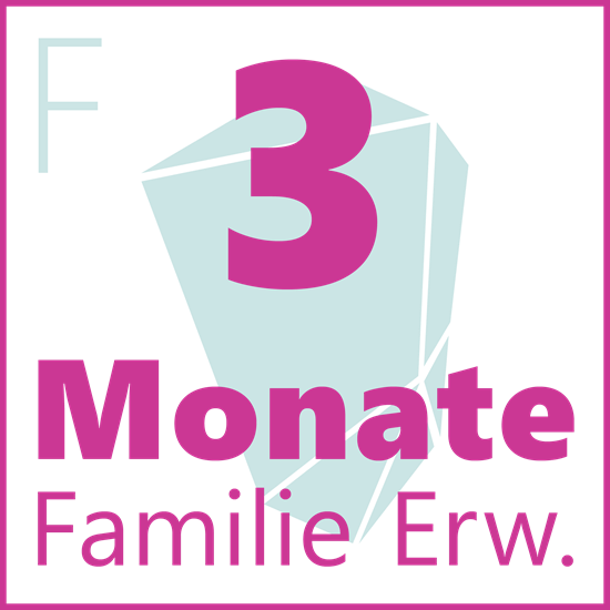 Bild von 3-Monats-Abo Familie Erwachsene