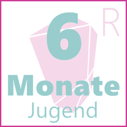 Bild von 6-Monats-Abo Jugendliche SAC/FARO
